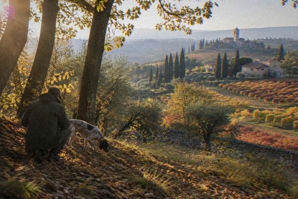 Truffle Hunting with Lunch, Verona