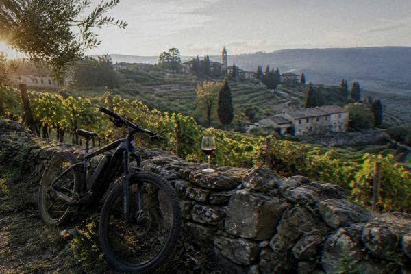 Self-Guided Wine E-Bike, Verona
