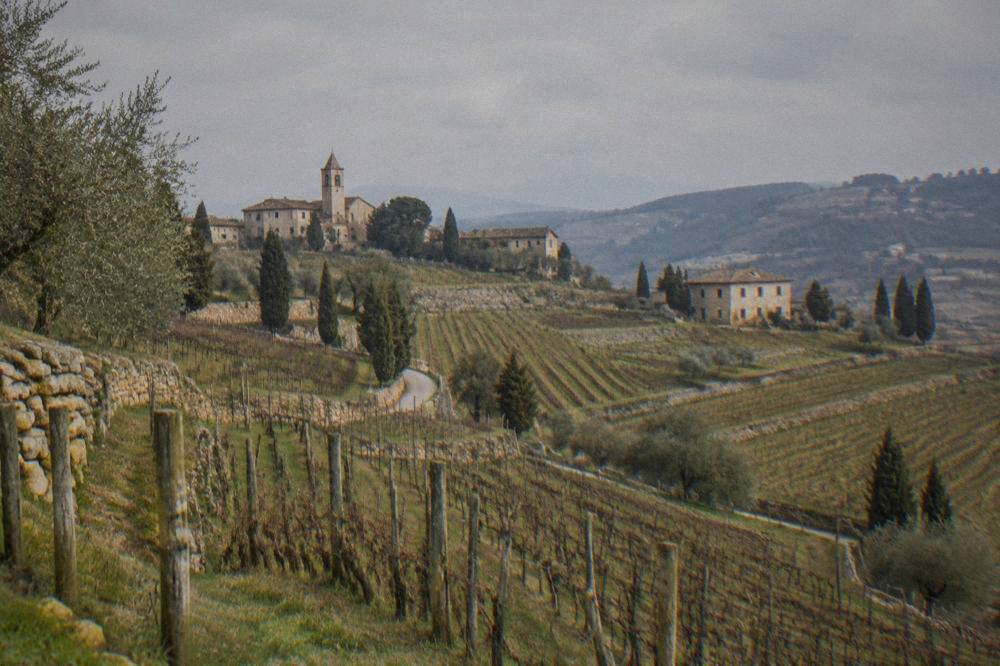 Rows of grapevines on rolling hills with a stone farmhouse in the distance