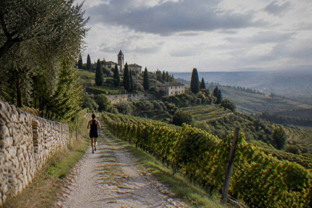 Vineyard rows in the Valpolicella hills on the horizon beyond Verona