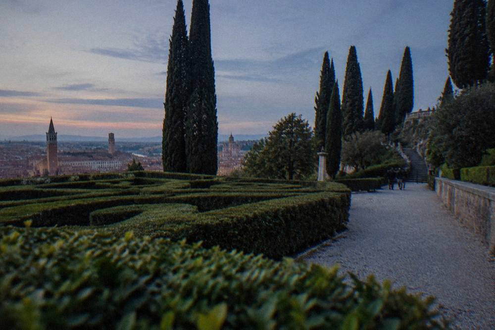 Clipped box hedges forming a low maze beside a gravel path in a formal garden