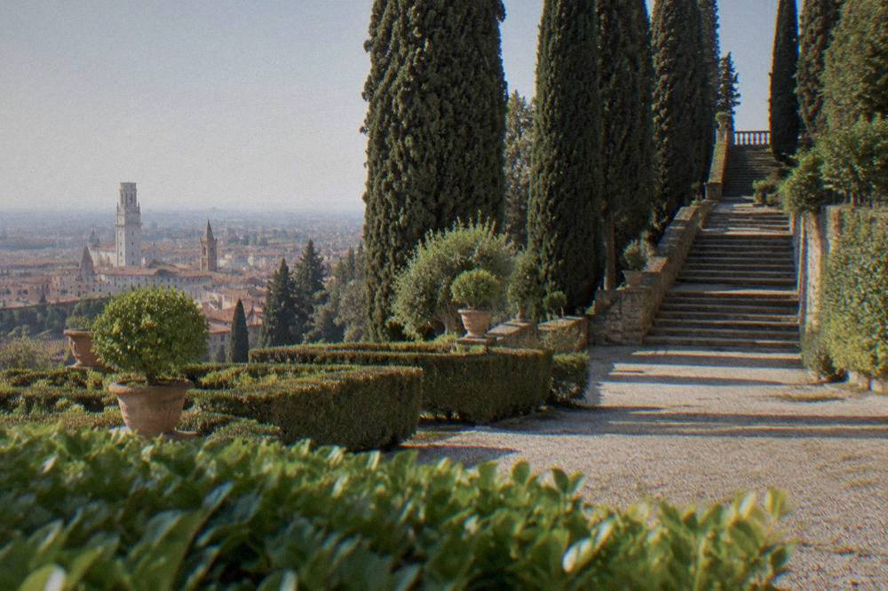 Tall dark cypress trees lining a stone stairway up a garden hillside