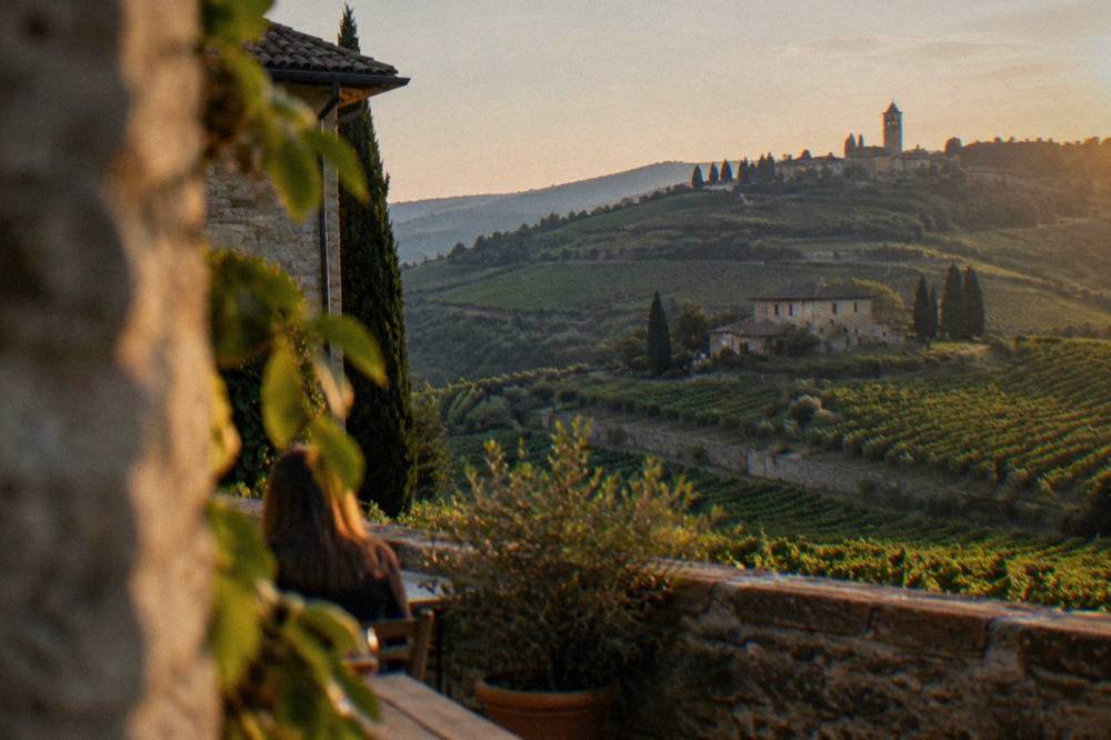 Rows of vineyards on rolling hills with a stone farmhouse in the distance