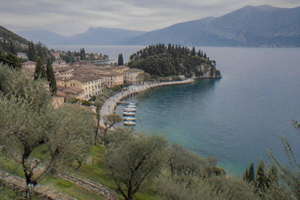 An olive grove on a terrace above the southern shore of Lake Garda with the water visible below