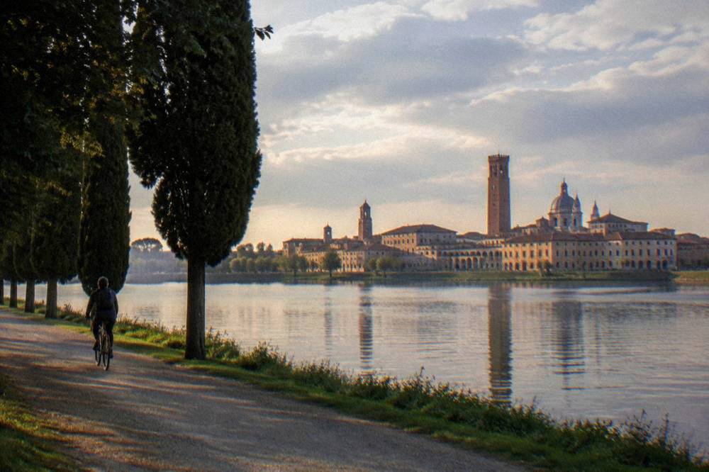 Cypress trees lining a flat riverside cycling path at dusk