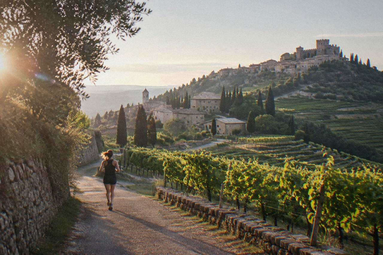 A medieval walled town on a hill with a castle above vineyards in northern Italy