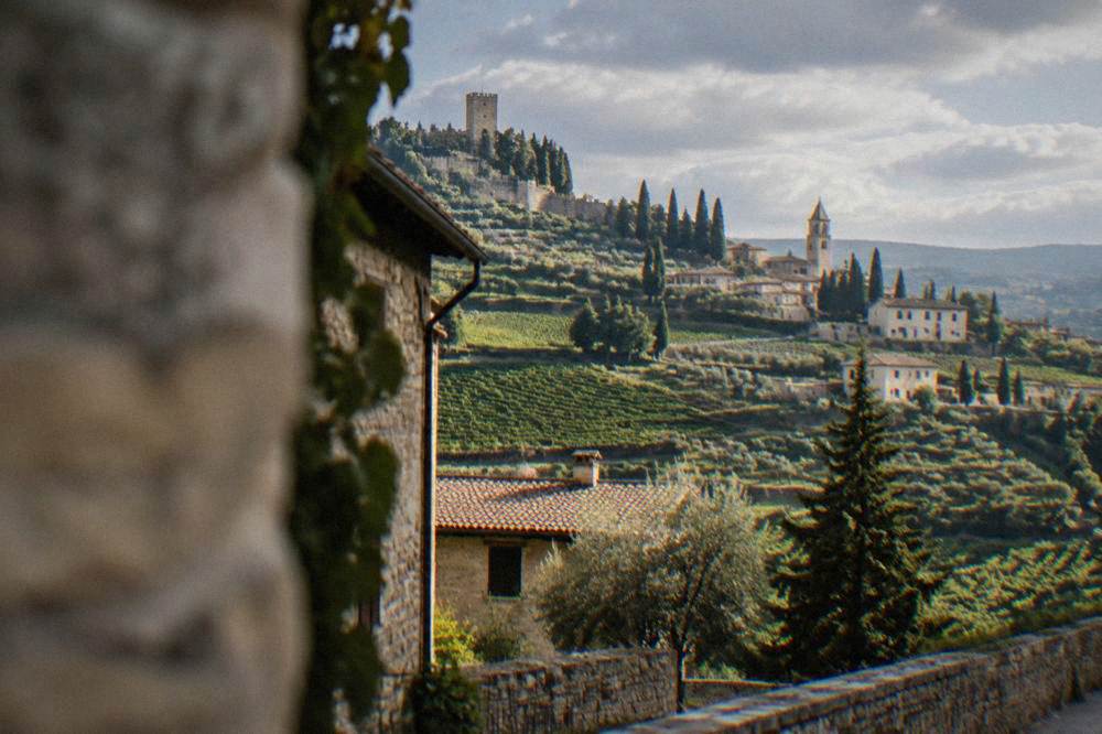 Medieval town wall and castle above vineyards