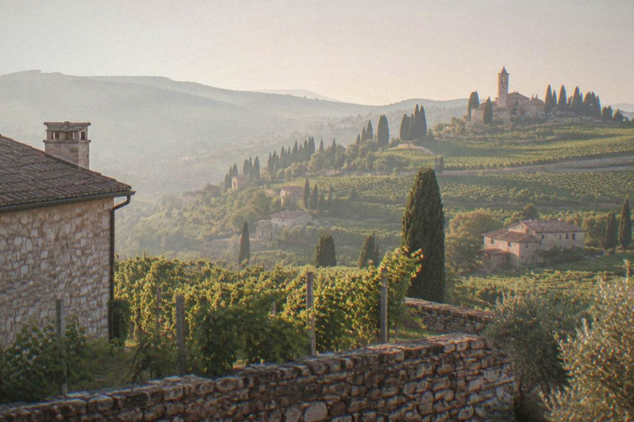 Vineyard covered hills with cypress trees north of Verona at golden hour