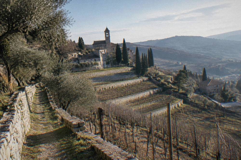 Terraced hillside vineyard with dry stone walls near Marano di Valpolicella