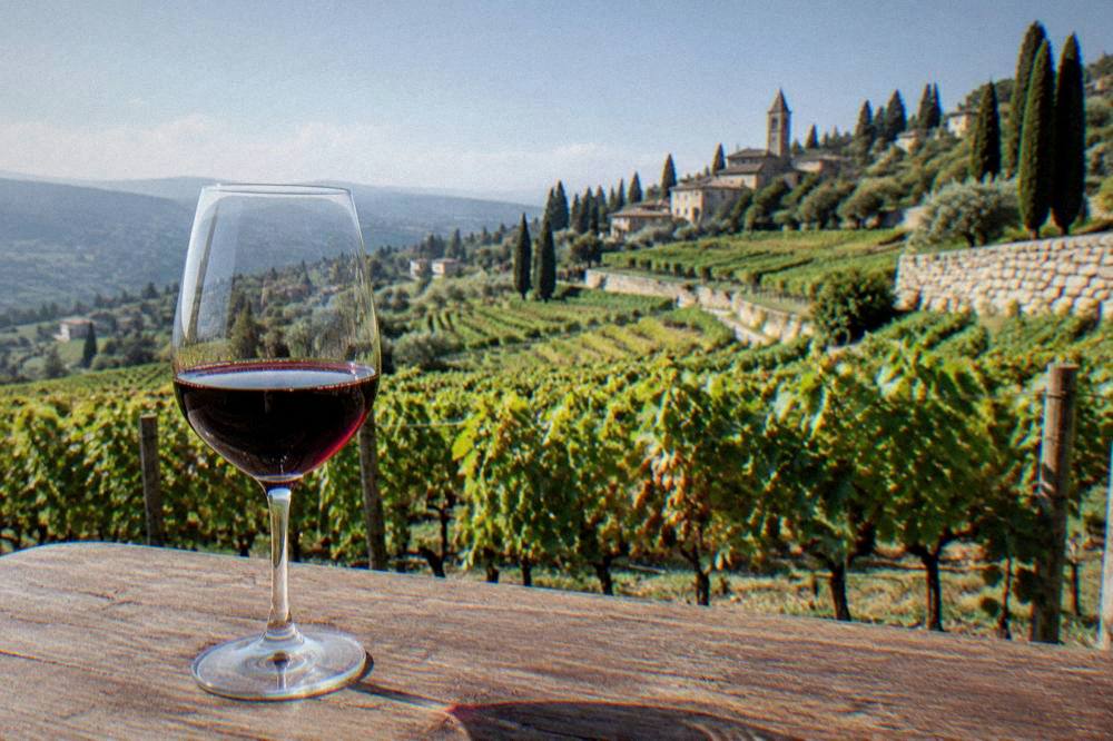 Glass of red Amarone wine on a wooden tasting table with vineyard behind