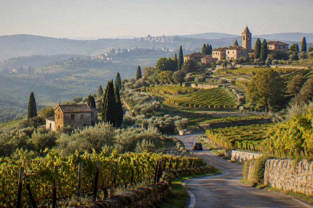 Country road winding between vineyards toward a hilltop village in Valpolicella