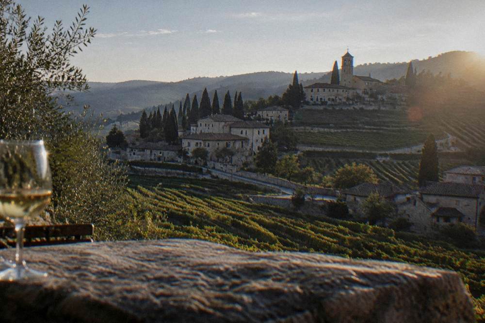 Rows of vines on rolling hills above a stone village