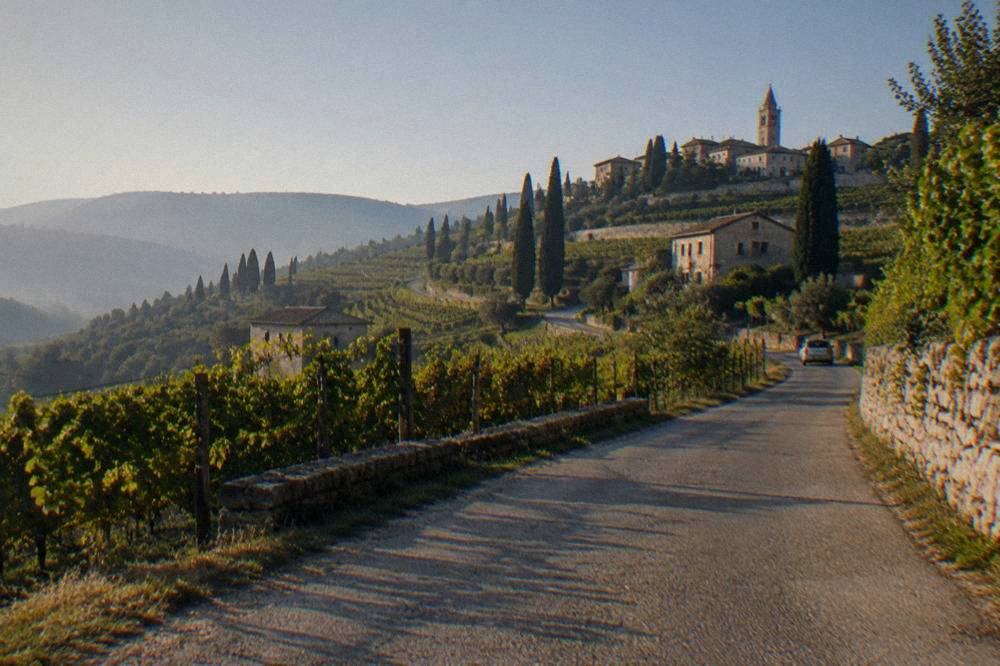 A country road winding through Valpolicella vineyard hills north of Verona