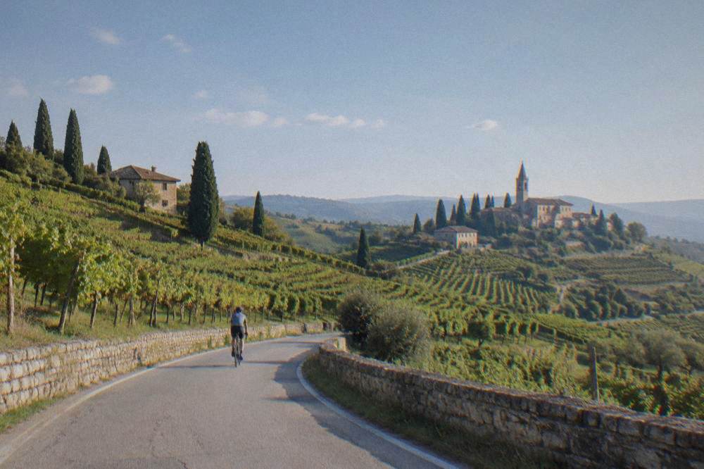 A country road winding through Valpolicella vineyard hills north of Verona