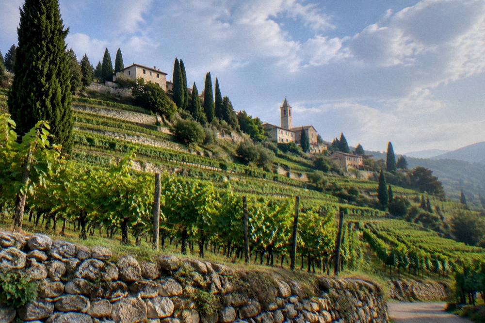 Vineyard hills of the Valpolicella wine region north of Verona