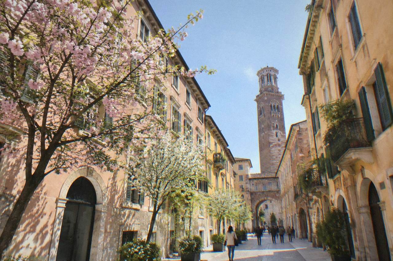Blossom trees and pastel facades along a Verona street in spring sunshine