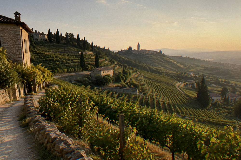 Vineyard-covered hills of the Valpolicella wine region north-west of Verona