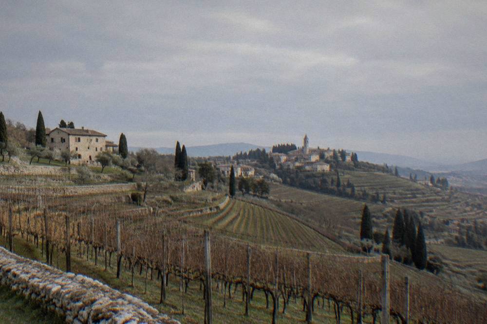 Vineyard rows on a hillside in the Valpolicella wine region outside Verona