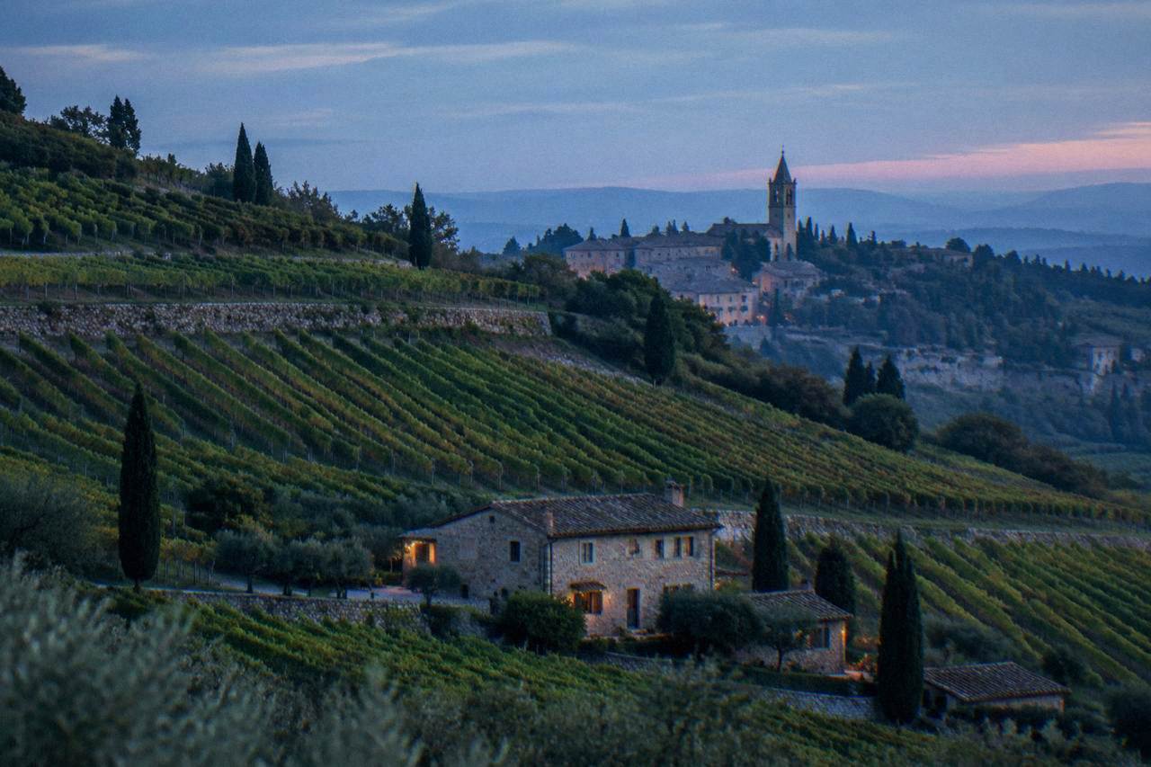 Rows of grapevines on a hillside above a stone farmhouse in the Verona countryside