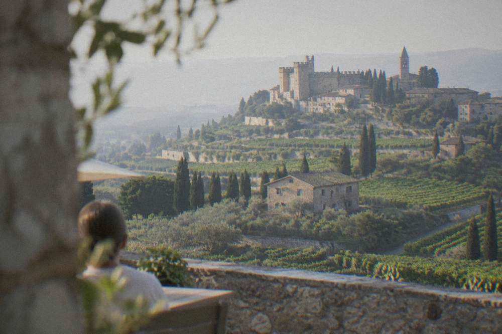 A walled hilltop village with a crenellated castle above rows of vines