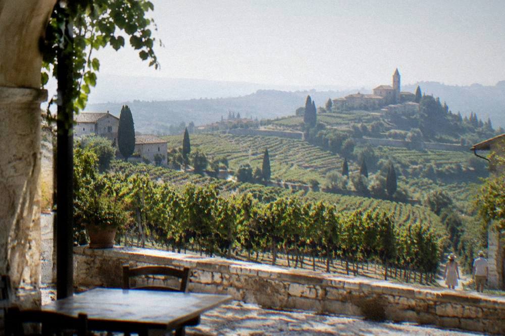 Vineyard rows heavy with ripe red grapes under a late summer sky