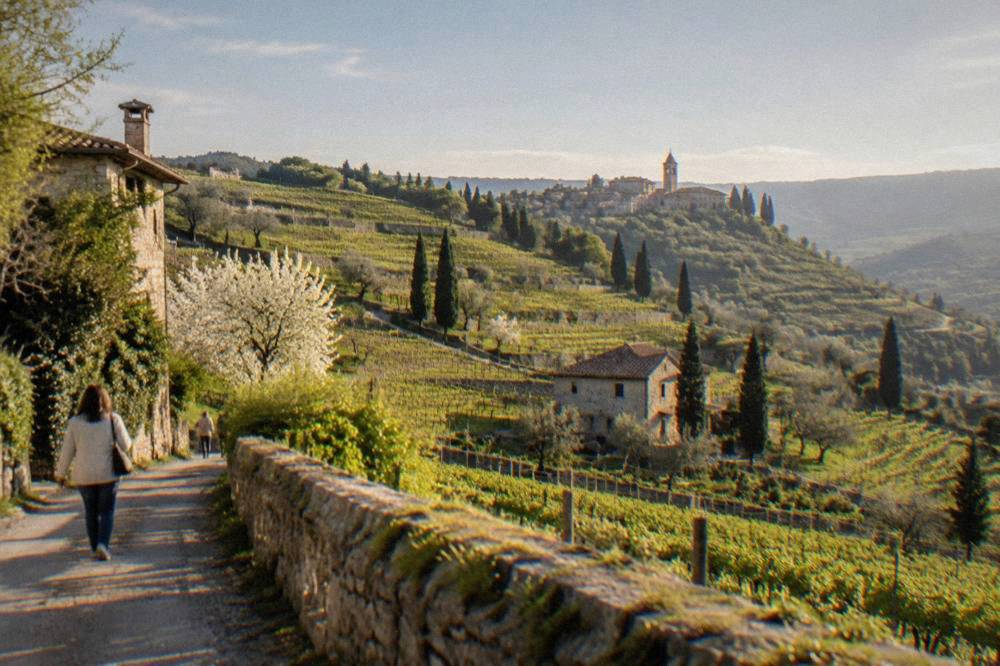 Terraced vineyard rows on hillsides north of Verona under a clear sky