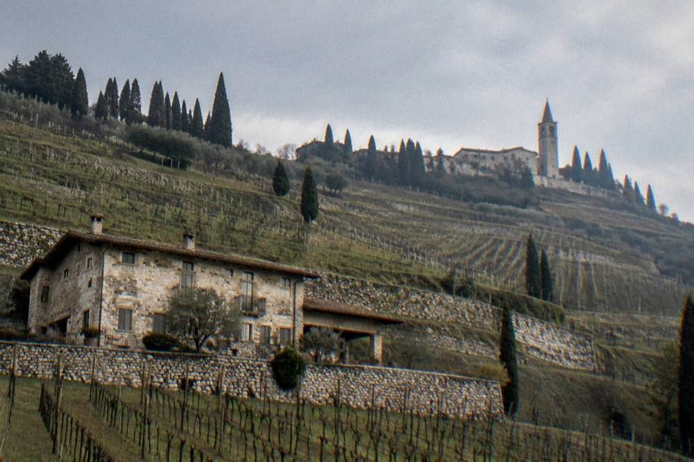 Vineyard rows on hillsides above a stone farmhouse in Valpolicella