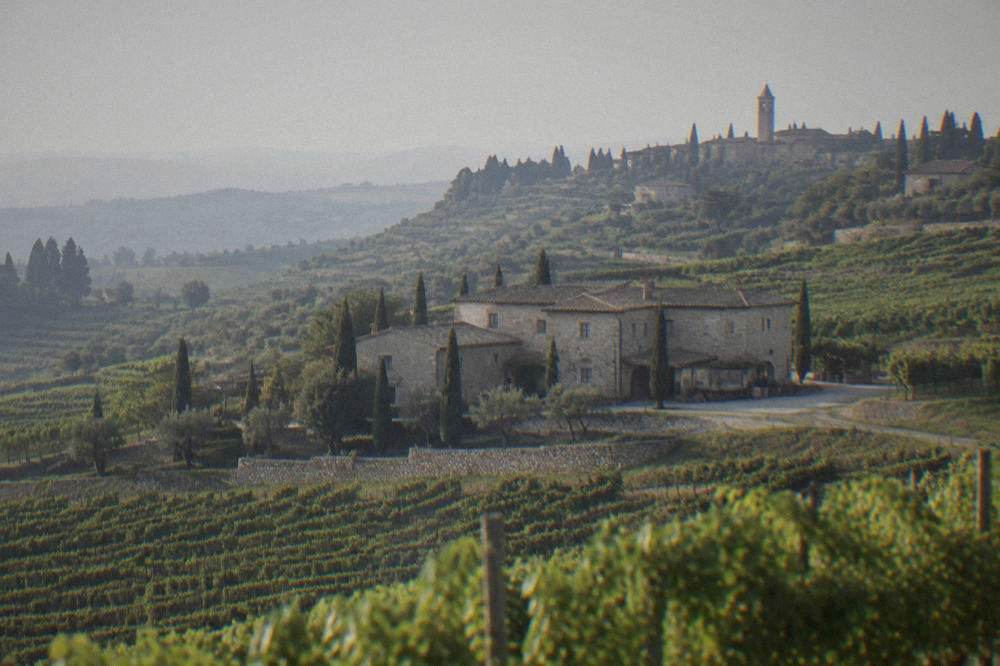A stone farmhouse winery surrounded by vineyards on a bright afternoon in the Valpolicella hills