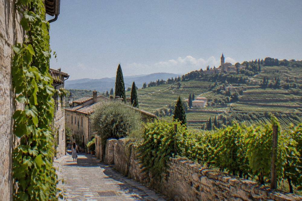 A narrow stone street in a hill village with vines growing against old walls