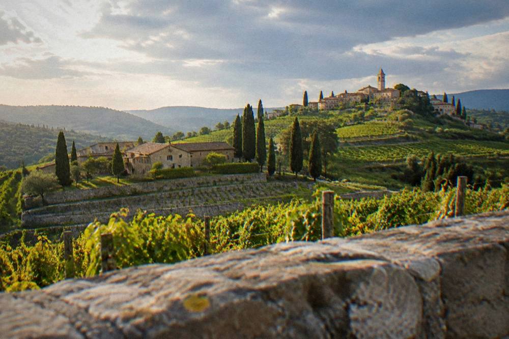 Sunlight over rows of vines and a small hilltop village in the Valpolicella hills